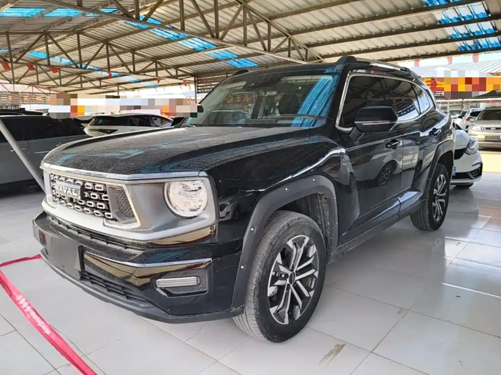 Haval Big Dog PLUS — миниатюра 2