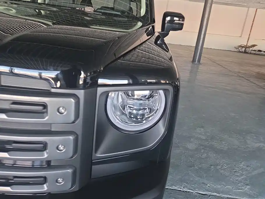 HAVAL RAPTORS NEW ENERGY