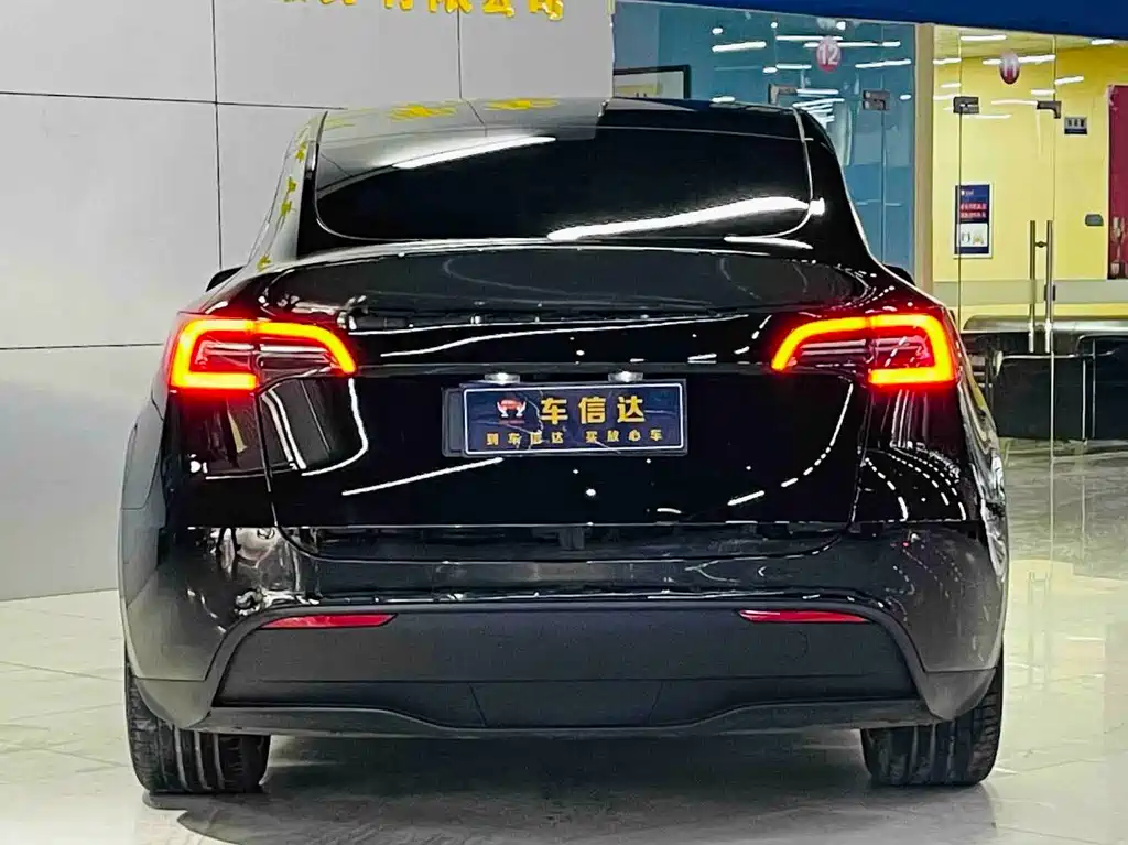 Tesla Model Y — миниатюра 4