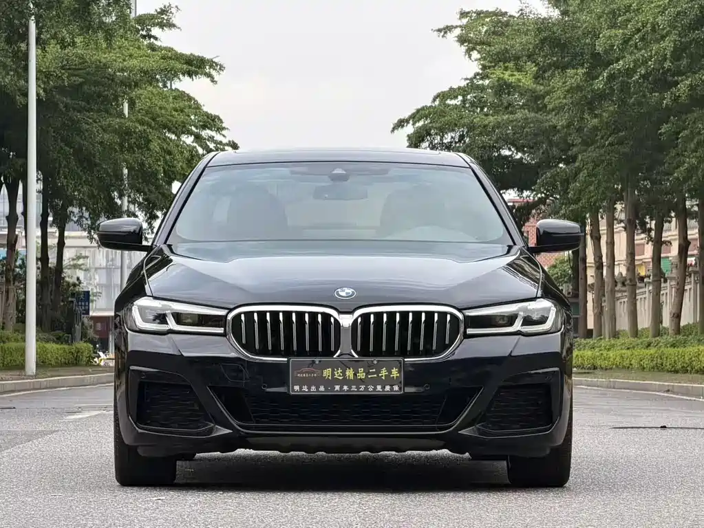 BMW 5 Series 5 2021 530Li xDrive M Sport