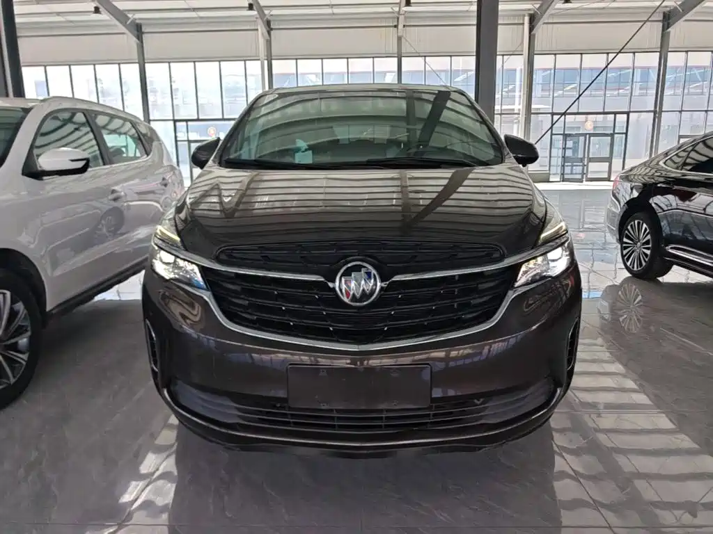 Buick GL8 — миниатюра 3