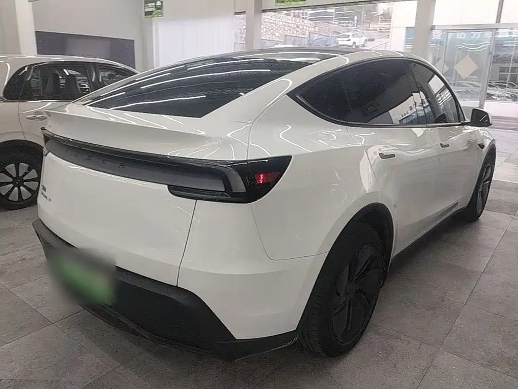 Tesla Model Y — миниатюра 7