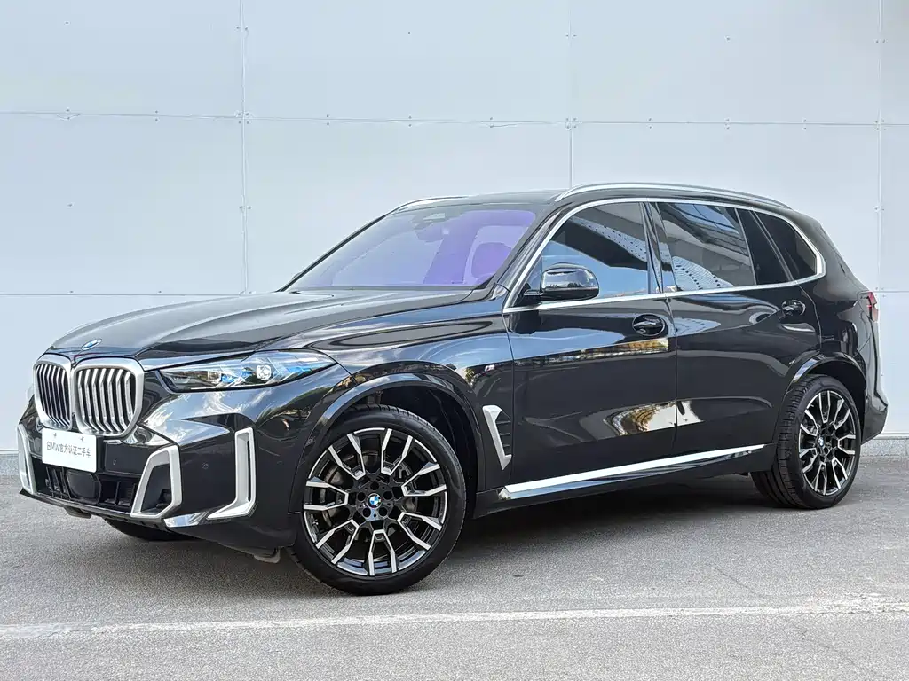 BMW X5 — миниатюра 24