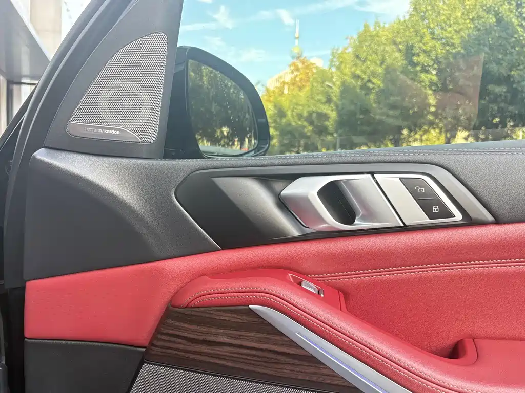 BMW X5 — миниатюра 13