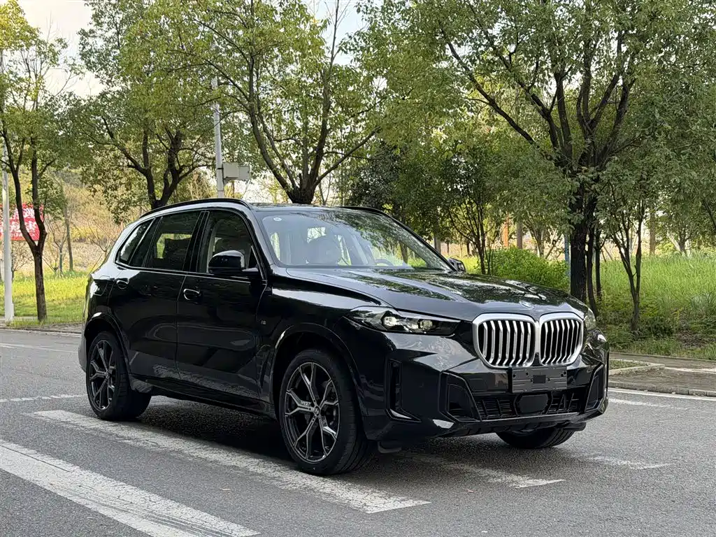 BMW X5 — миниатюра 4