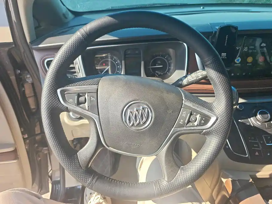 Buick GL8 — миниатюра 15