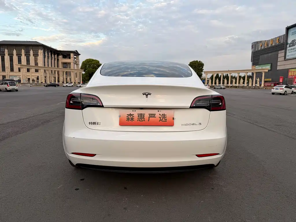 Tesla Model 3 — миниатюра 17