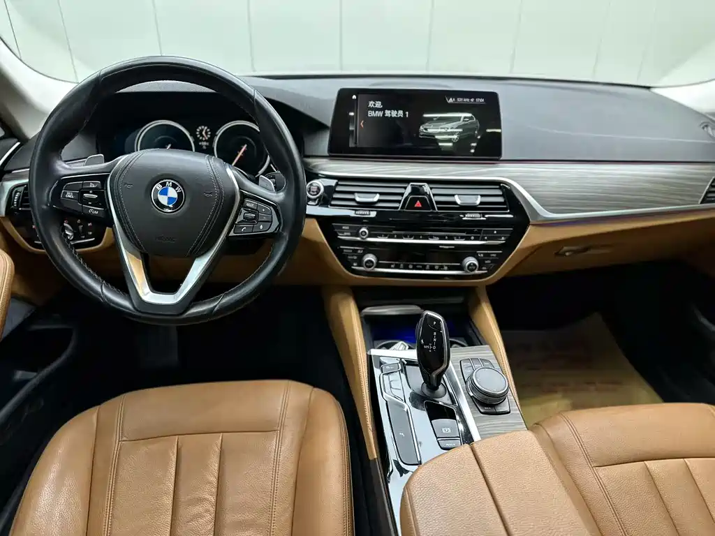 BMW 5 SERIES