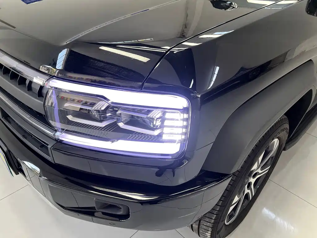 FANG CHENG BAO LEOPARD 5