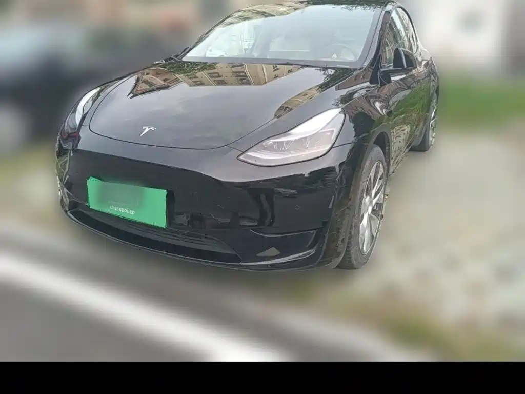 Tesla Model Y — миниатюра 15