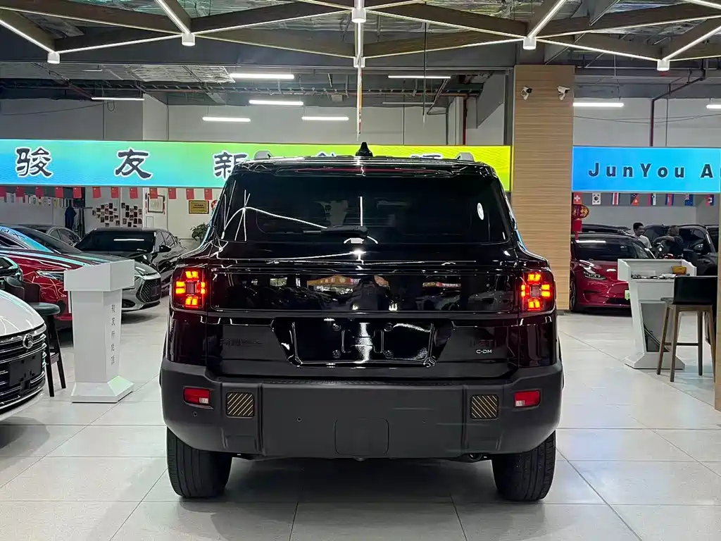 Shanhai Shanhai T1 — миниатюра 8