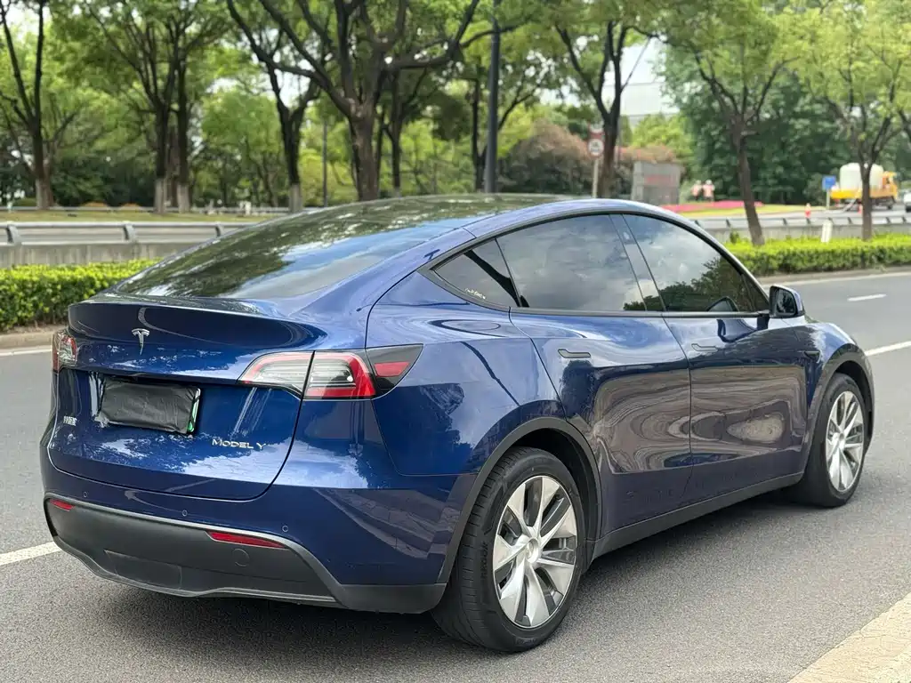 Tesla Model Y — миниатюра 9