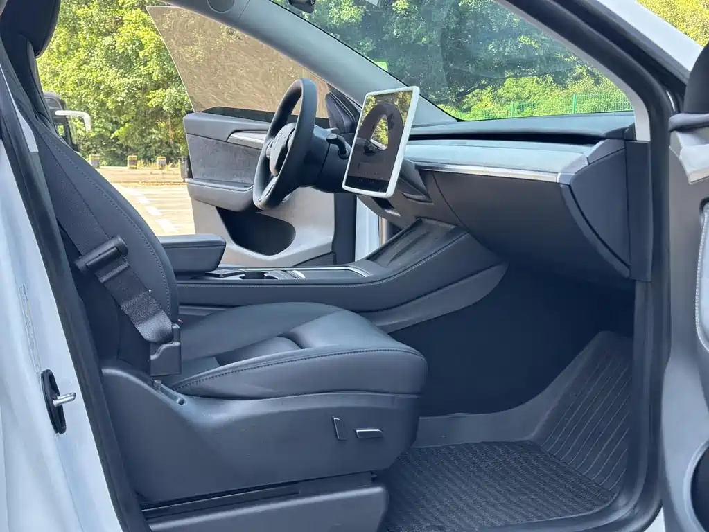 Tesla Model Y — миниатюра 7