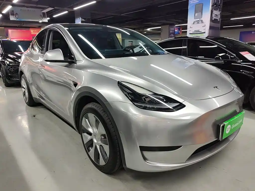 Tesla Model Y — миниатюра 4