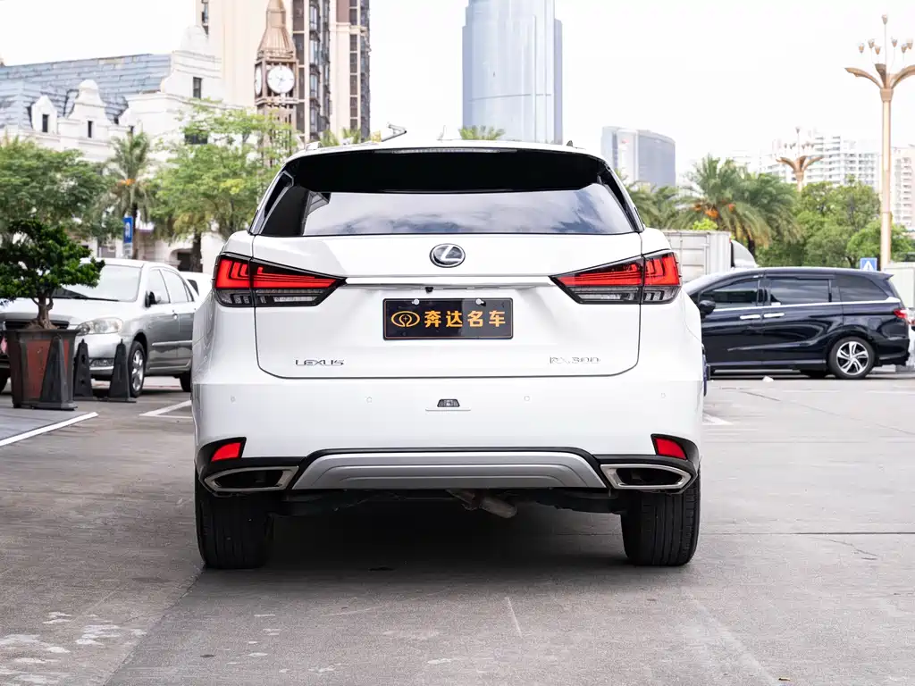 Lexus RX 2020 300 Elegant VI