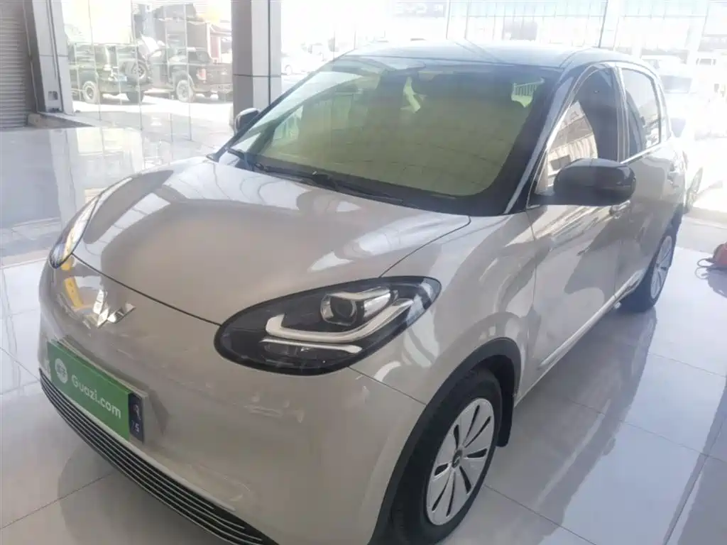 Wuling Bingo 2024