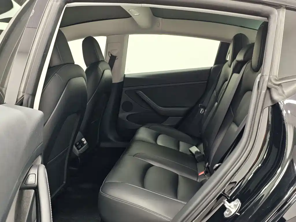Tesla Model 3 — миниатюра 15