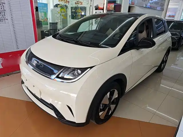 2023 BYD Dolphin