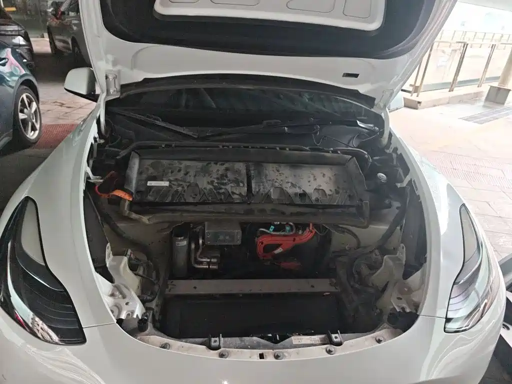 Tesla Model Y — миниатюра 16