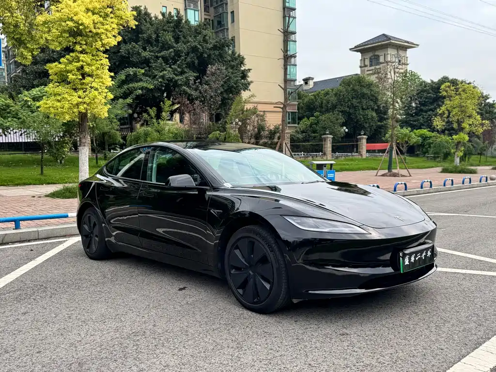 Tesla Model 3 — миниатюра 3