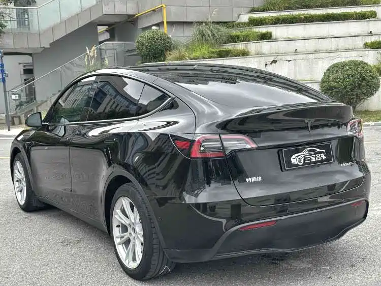 Tesla Model Y — миниатюра 6