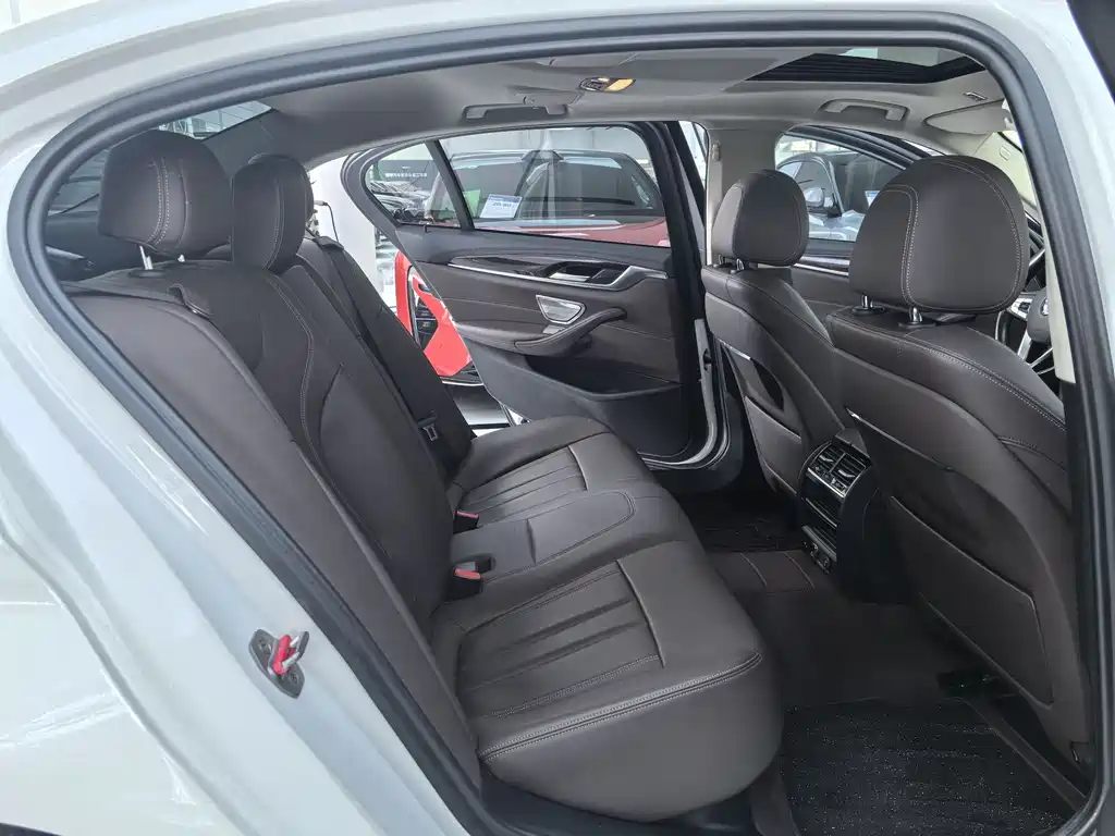 BMW 5 Series 5 2019 525Li Luxury