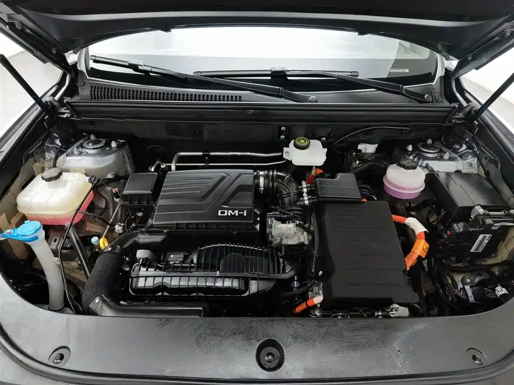 BYD SONGJIANG NEW ENERGY