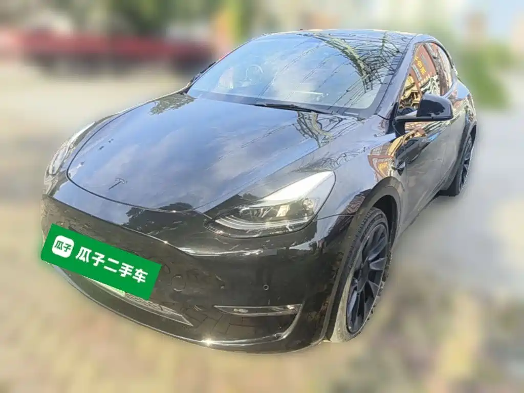Tesla Model Y — миниатюра 3