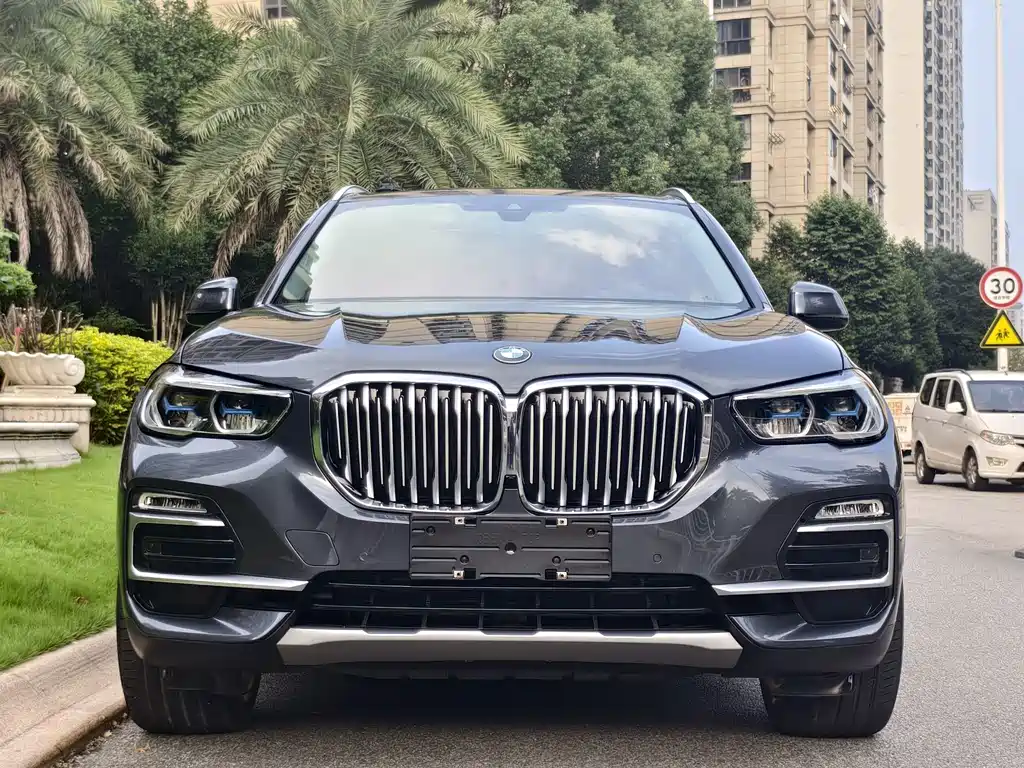BMW X5 (Import) — миниатюра 3