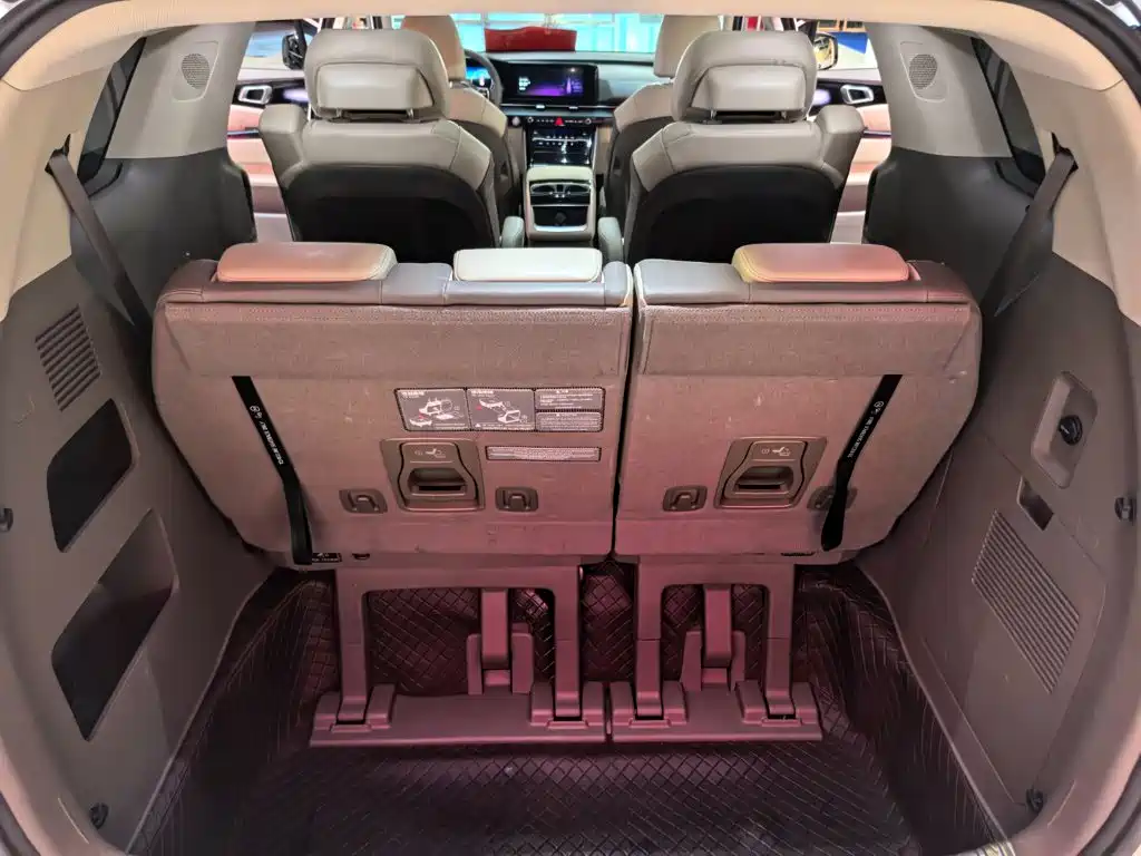 Kia Carnival — миниатюра 22