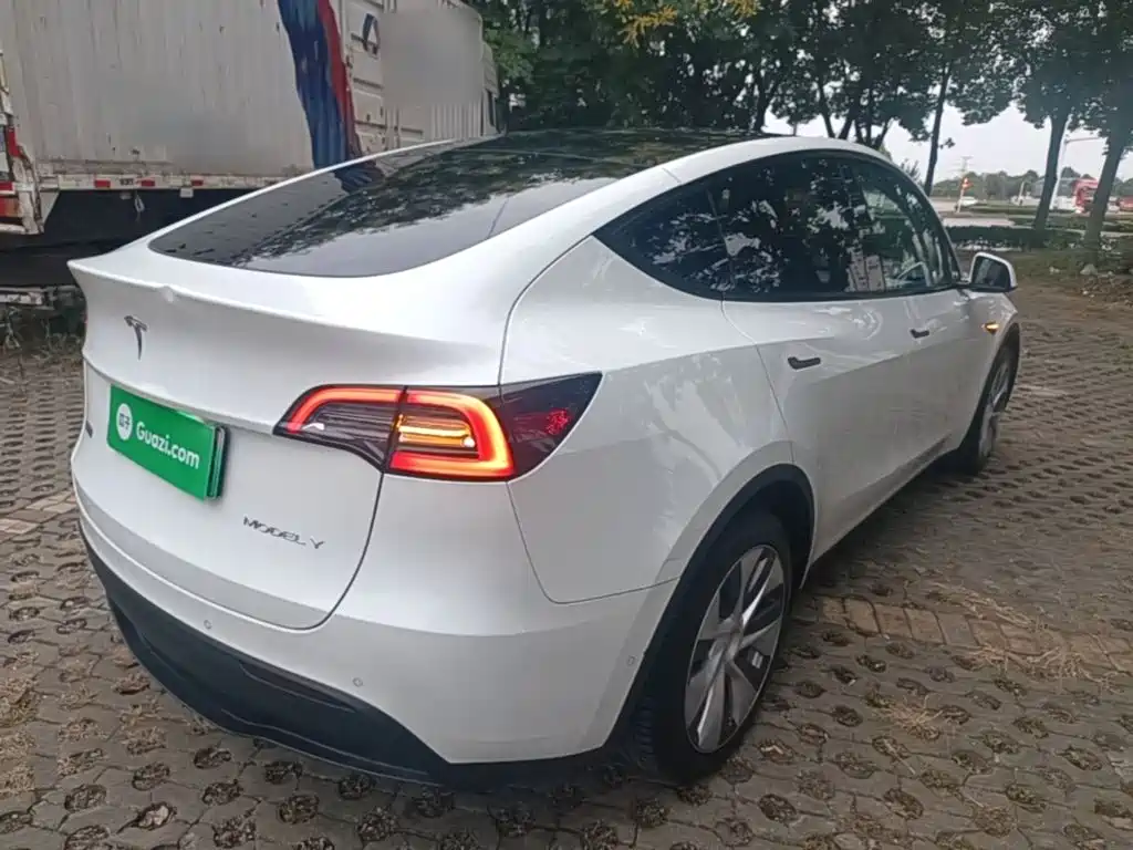 Tesla Model Y — миниатюра 7