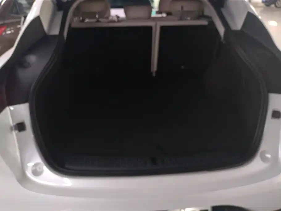 ZHIJI AUTOMOBILE ZHIJI LS6