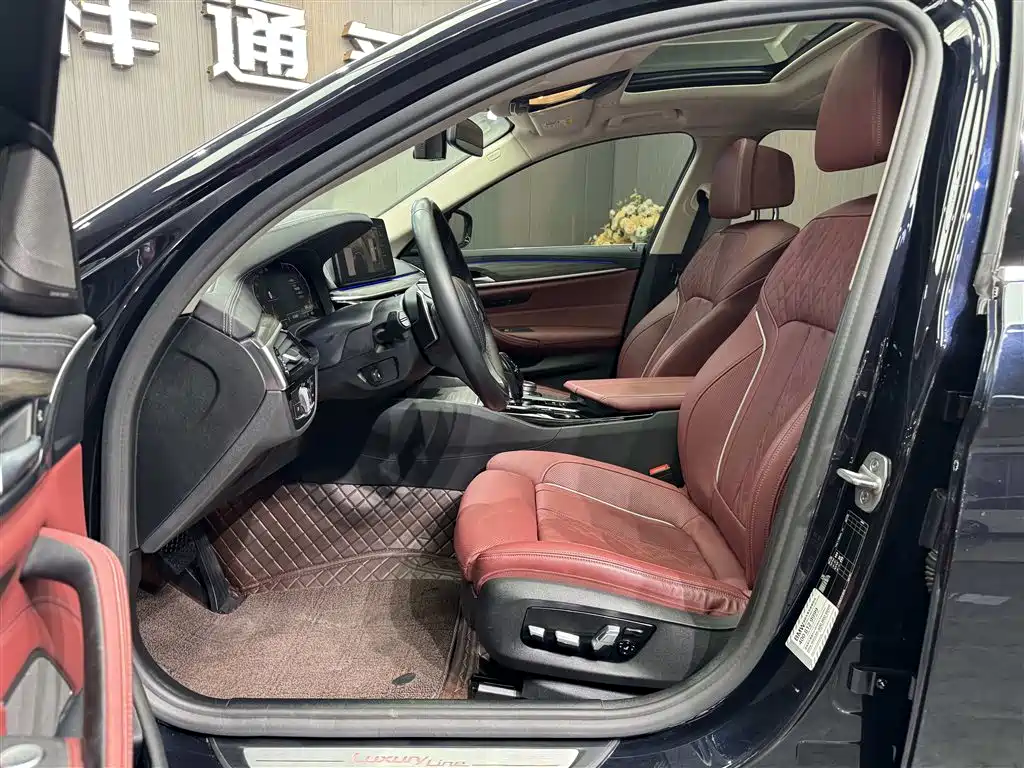 BMW 5 Series 5 2021 530Li Premium Luxury