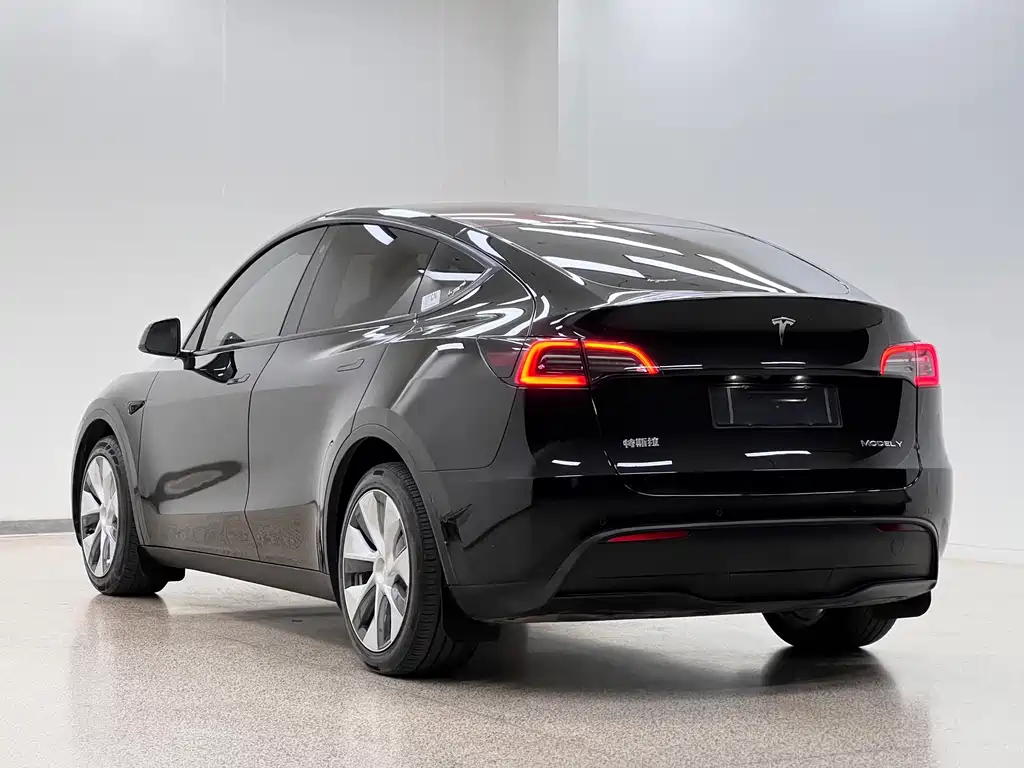 Tesla Model Y — миниатюра 4