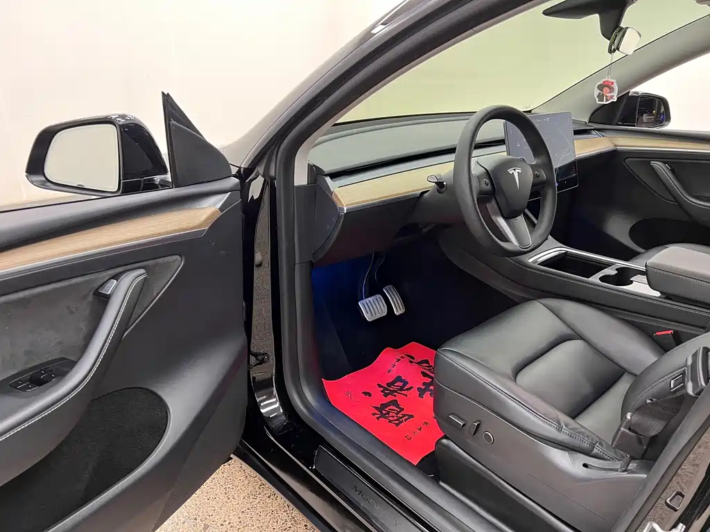 Tesla Model Y — миниатюра 14