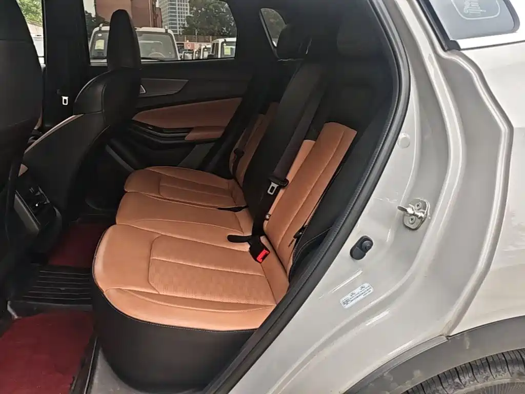 Qiyuan Чанг Ан Кай Q05 классика. — миниатюра 13