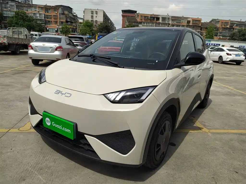 Byd Seagull 2025