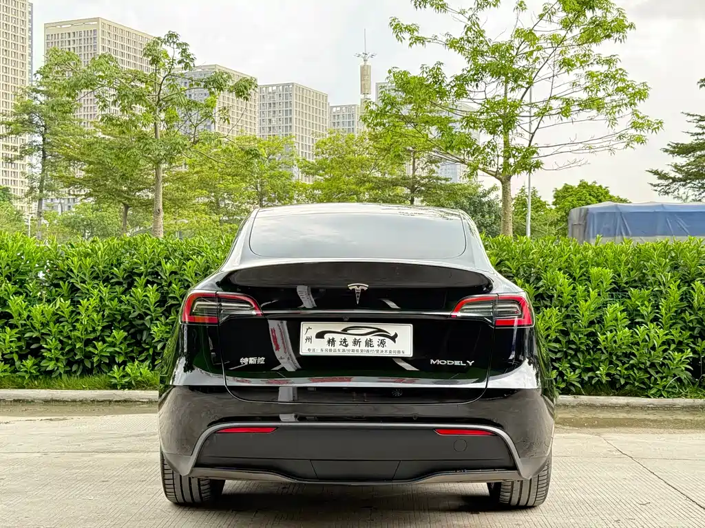 Tesla Model Y — фотографии объявления, Фото 6