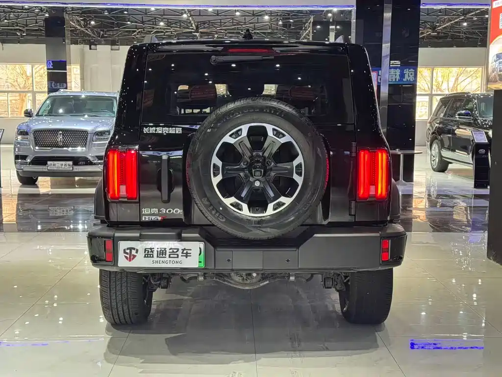 TANK TANK 300 NEW ENERGY