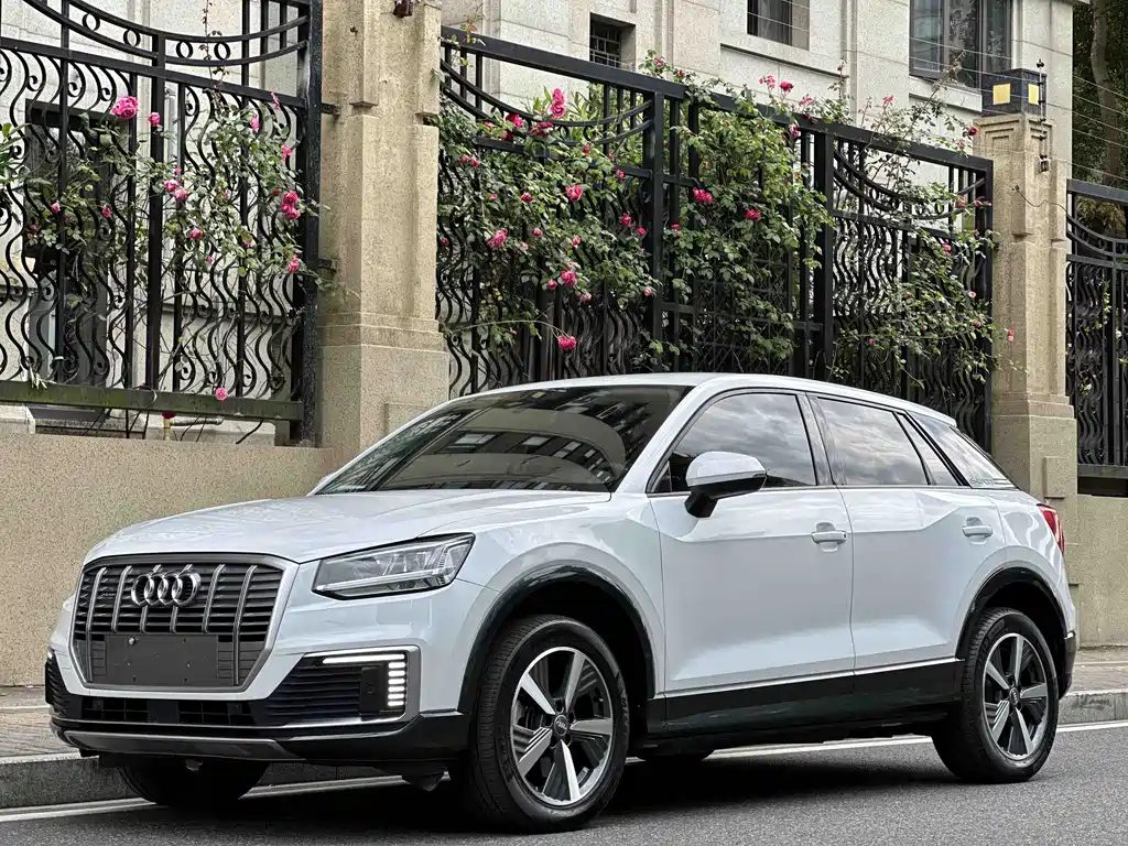 Audi Q2L e-tron 2020