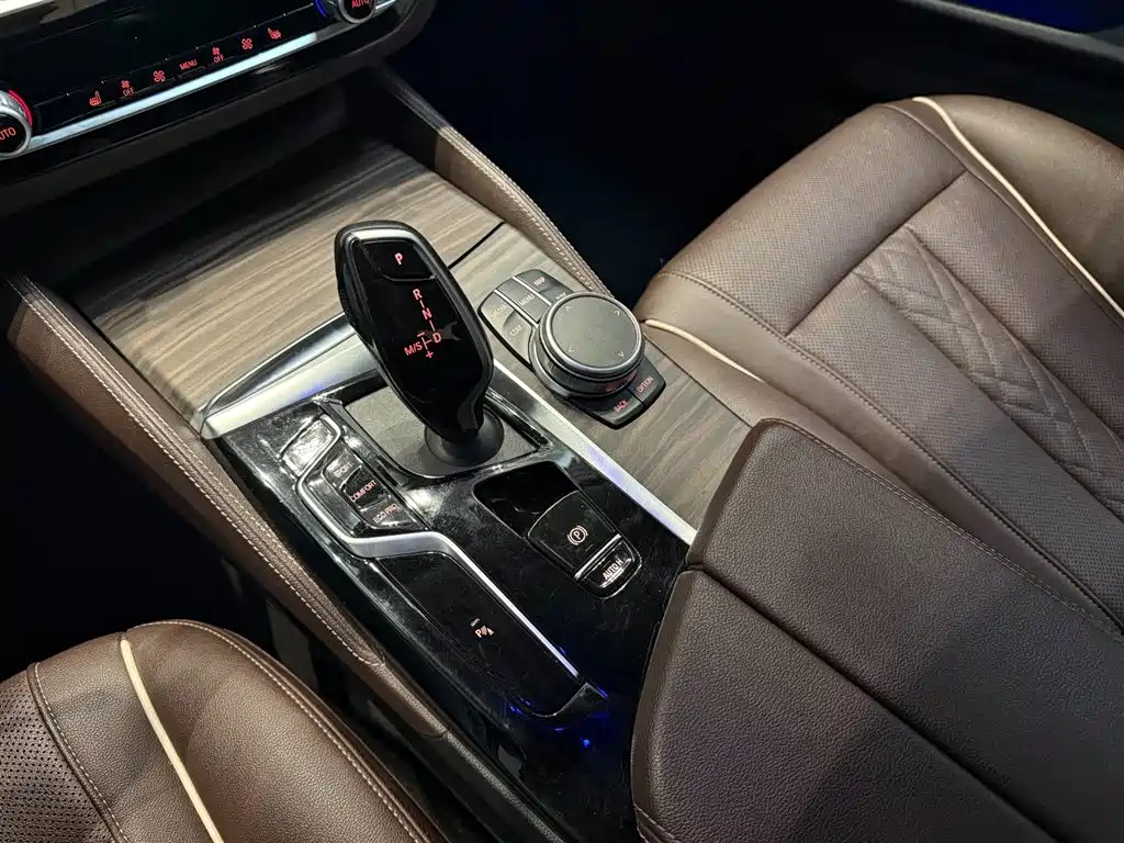 BMW 5 Series 5 2021 530Li Lead Luxury