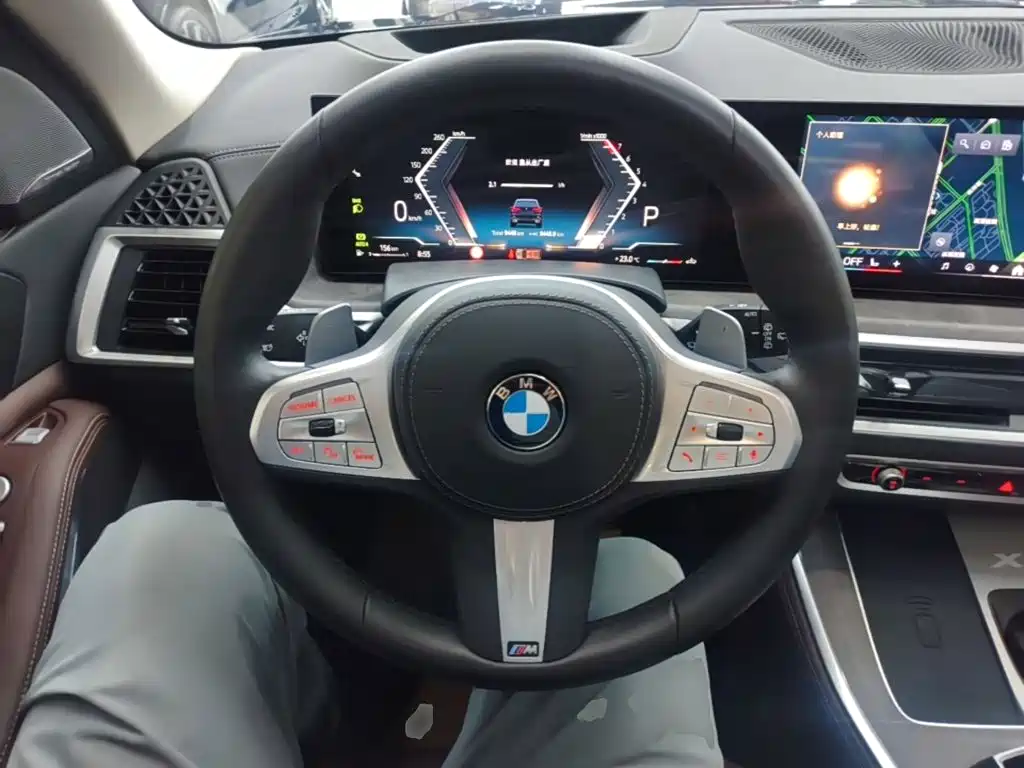 BMW X5 — миниатюра 11
