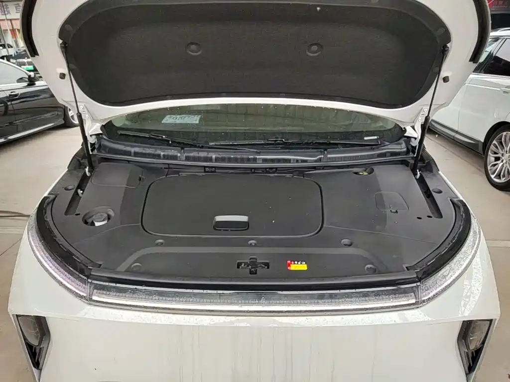 MAXUS Dajia 9 — миниатюра 20