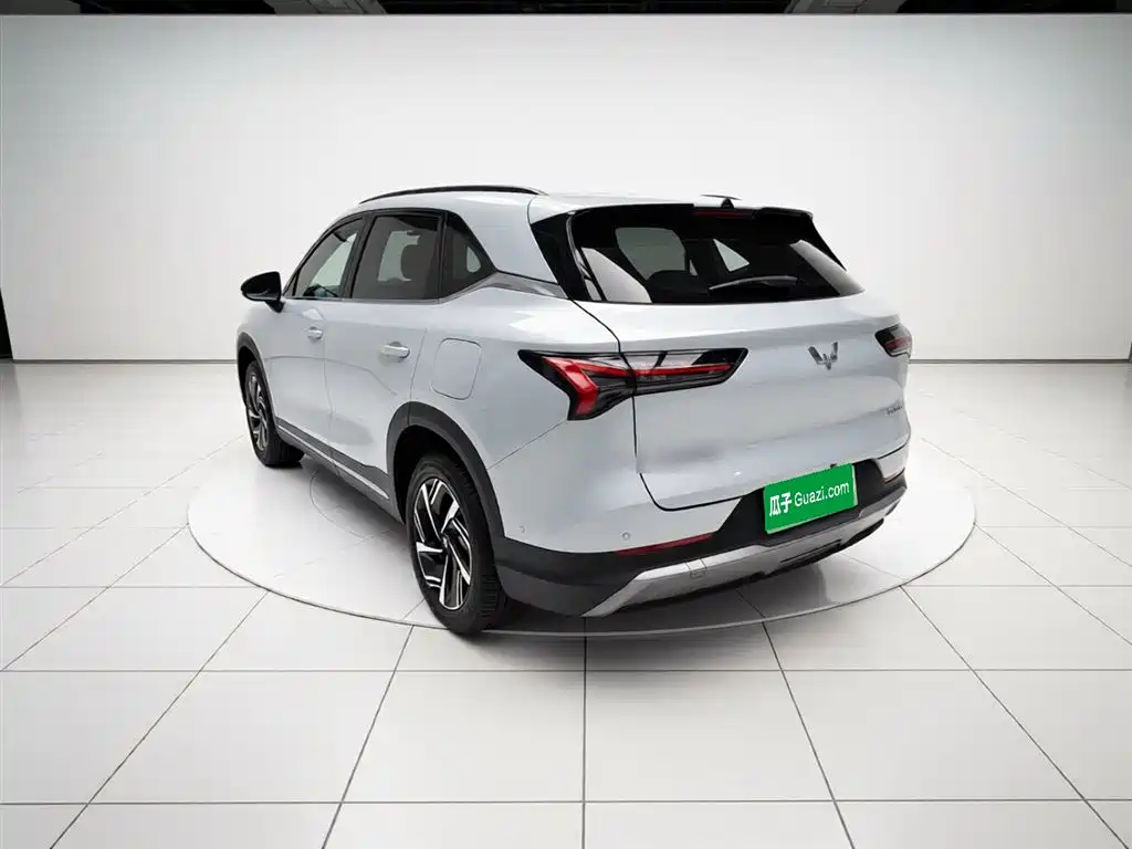 Wuling S 2025 130km Flagship