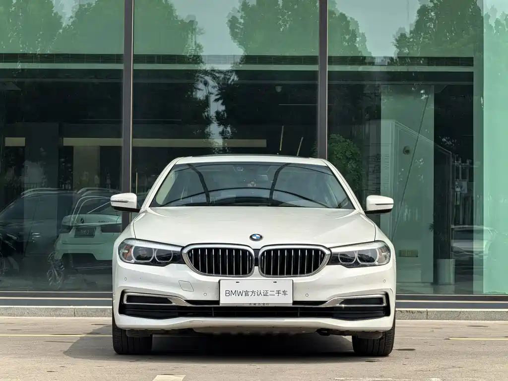 BMW 5 Series 5 2020 525Li Luxury