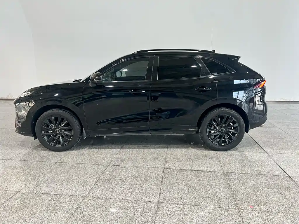 Dongfeng T5 EVO 2021 1.5TD DCT
