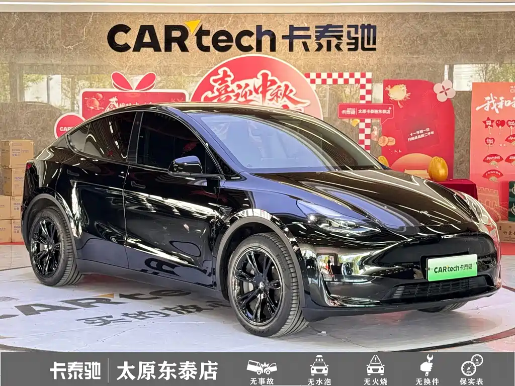 Tesla Model Y — миниатюра 3