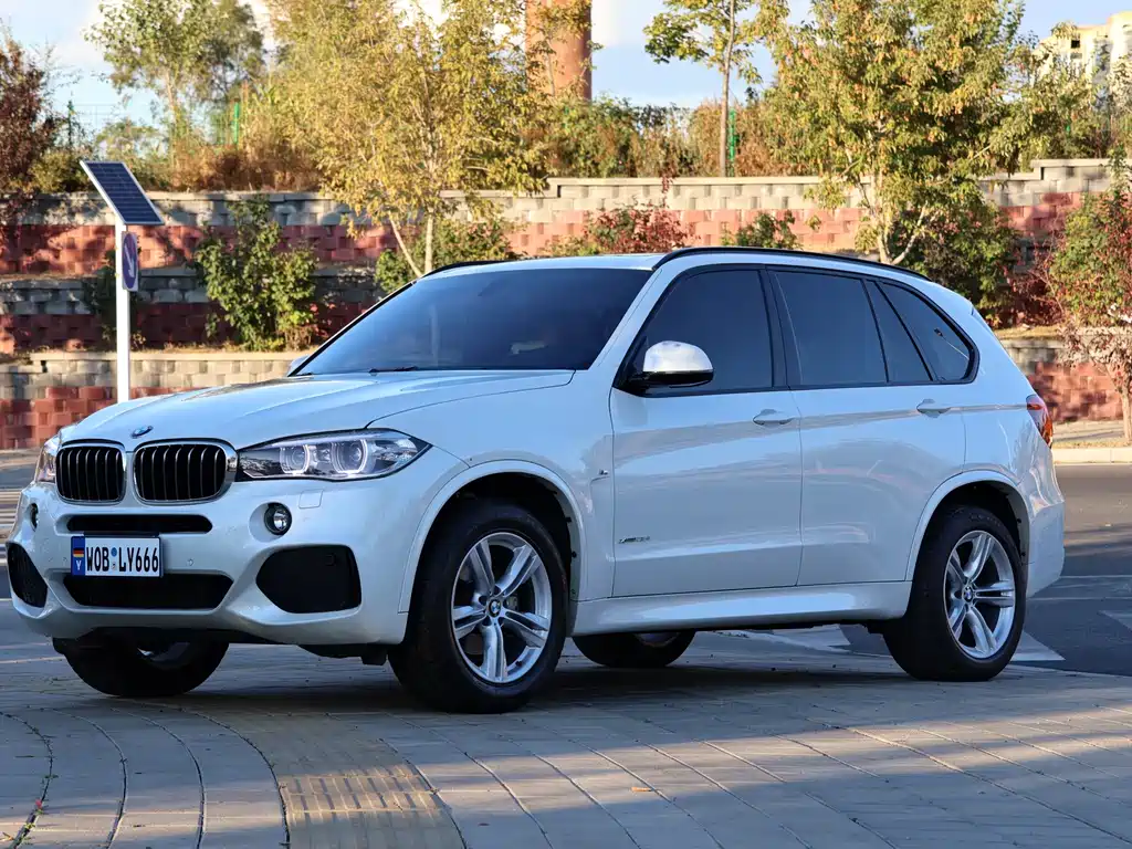 BMW X5 (Import)