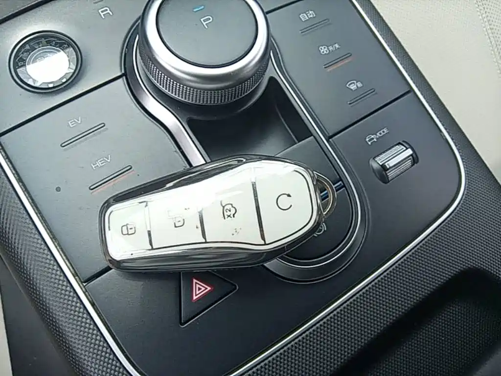 BYD Destroyer 05 2024 DM-i 55KM Luxury