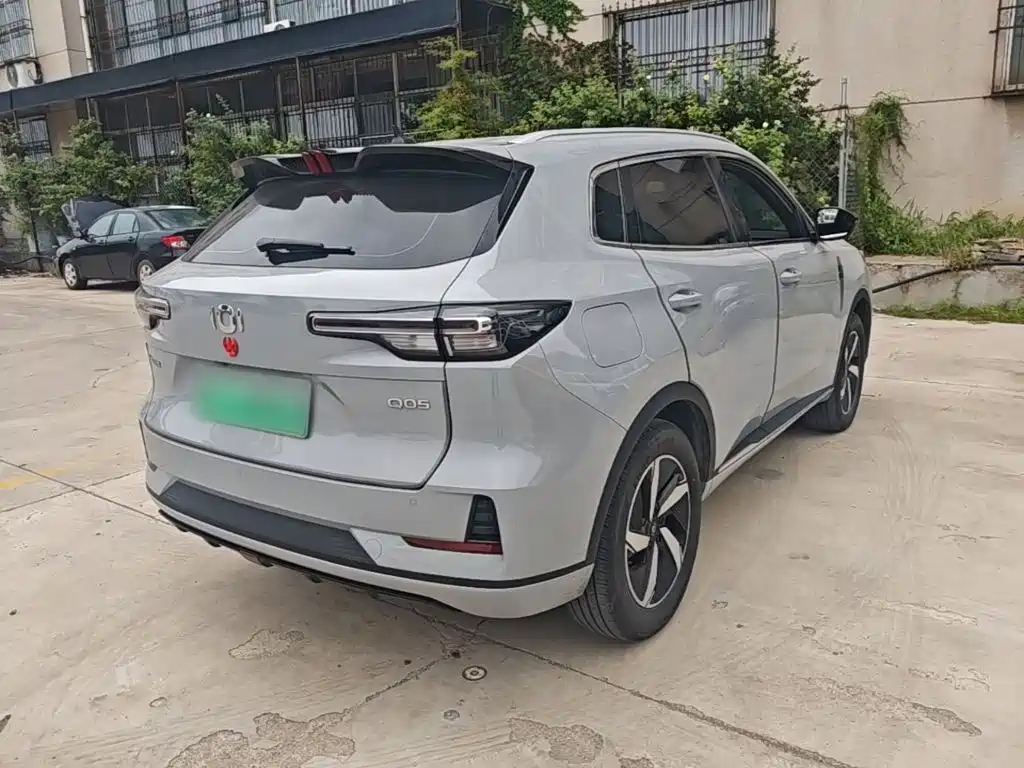 Qiyuan Чанг Ан Кай Q05 классика. — миниатюра 5